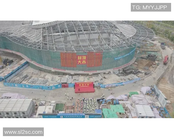 南京极限运动队力量表现数据分析与训练优化研究探讨