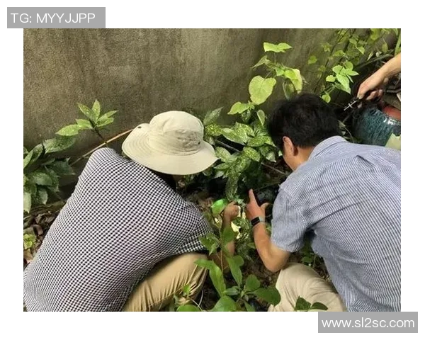 杭州极限运动队心理素质分析与表现研究探讨