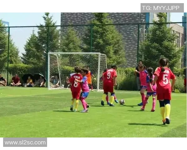 武汉足球队在全国团队协作排行榜中荣登第五名展现出色团队精神与实力