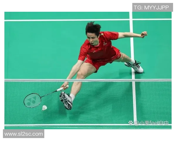 羽毛球战术解析：上海羽毛球队灵活转换体系的深度剖析与应用