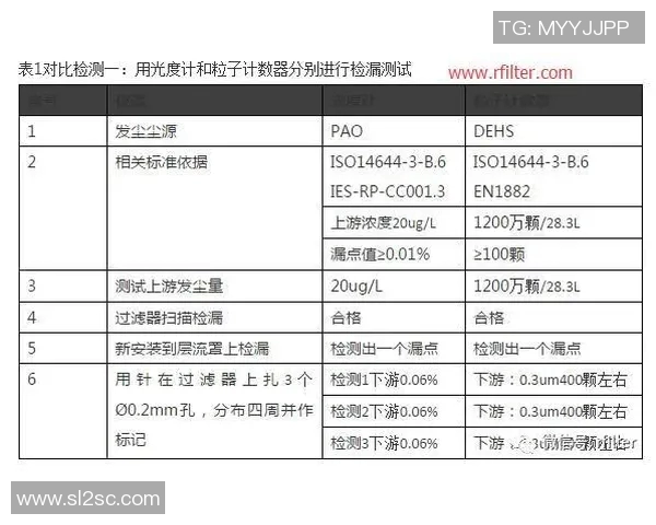赛后分析：深圳羽毛球队与武汉羽毛球队的团队协作与战术对比探讨