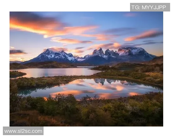 厄尔多瓜与智利的足球对决揭示南美洲足球的激烈竞争与历史渊源