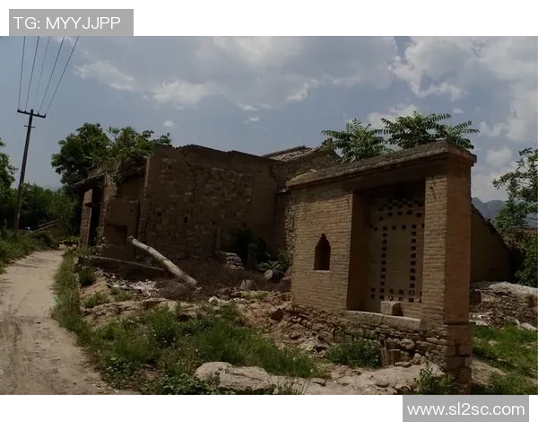 山西与四川农村的对比探讨：文化经济与生活方式的差异与共鸣