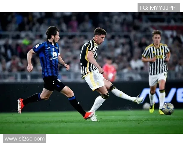 弗拉霍维奇的崛起之路：从天才少年到意甲锋线新星的传奇旅程