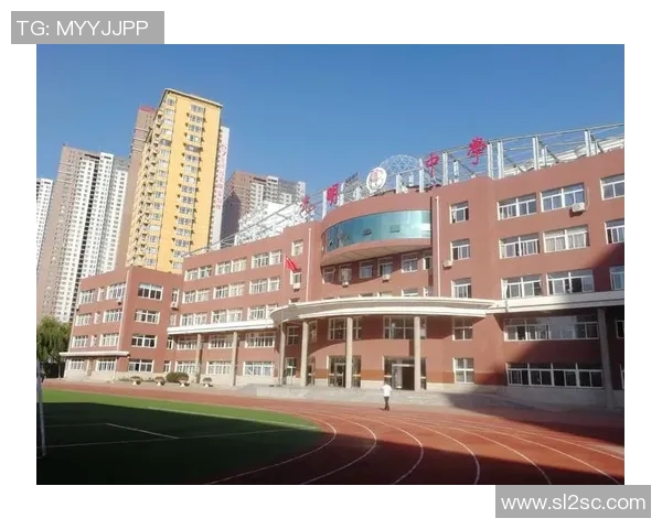 朱俊龙的奋斗历程与成就探秘：从平凡到卓越的成长之路