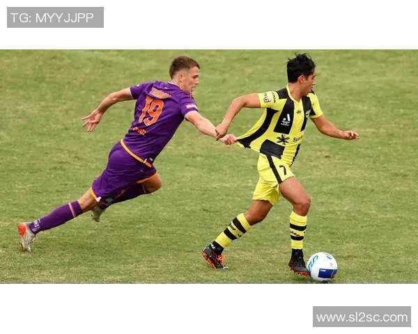 中部海岸与惠灵顿比赛前瞻及比分预测分析